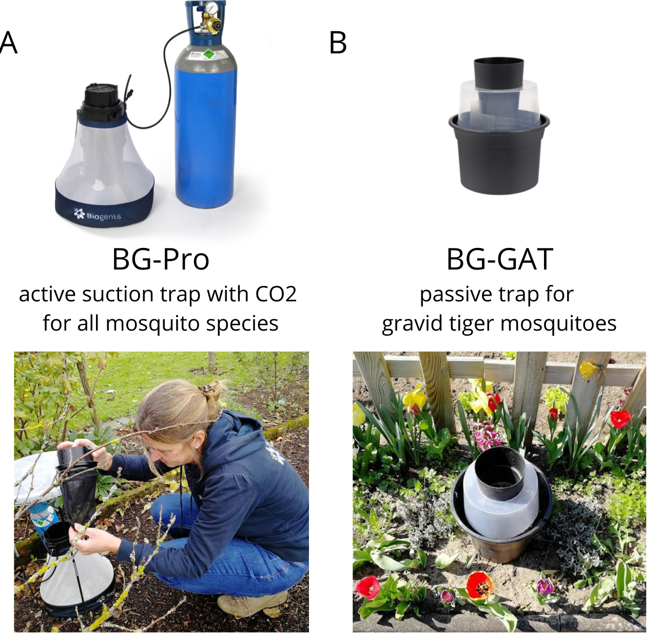 Biogents tiger mosquito traps BG-Pro and BG-GAT