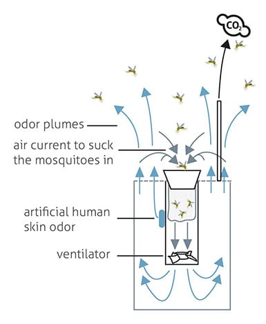Biogents BG-Mosquitaire-CO2 mosquito trap