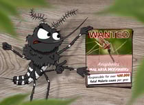 Marcy mosquito Tiger mosquito not to blame for malaria burden world malaria day 2020