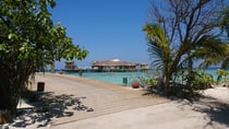 Soneva Fushi controlled mosquitoes with Biogents mosquito traps