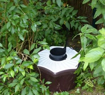 shady-area