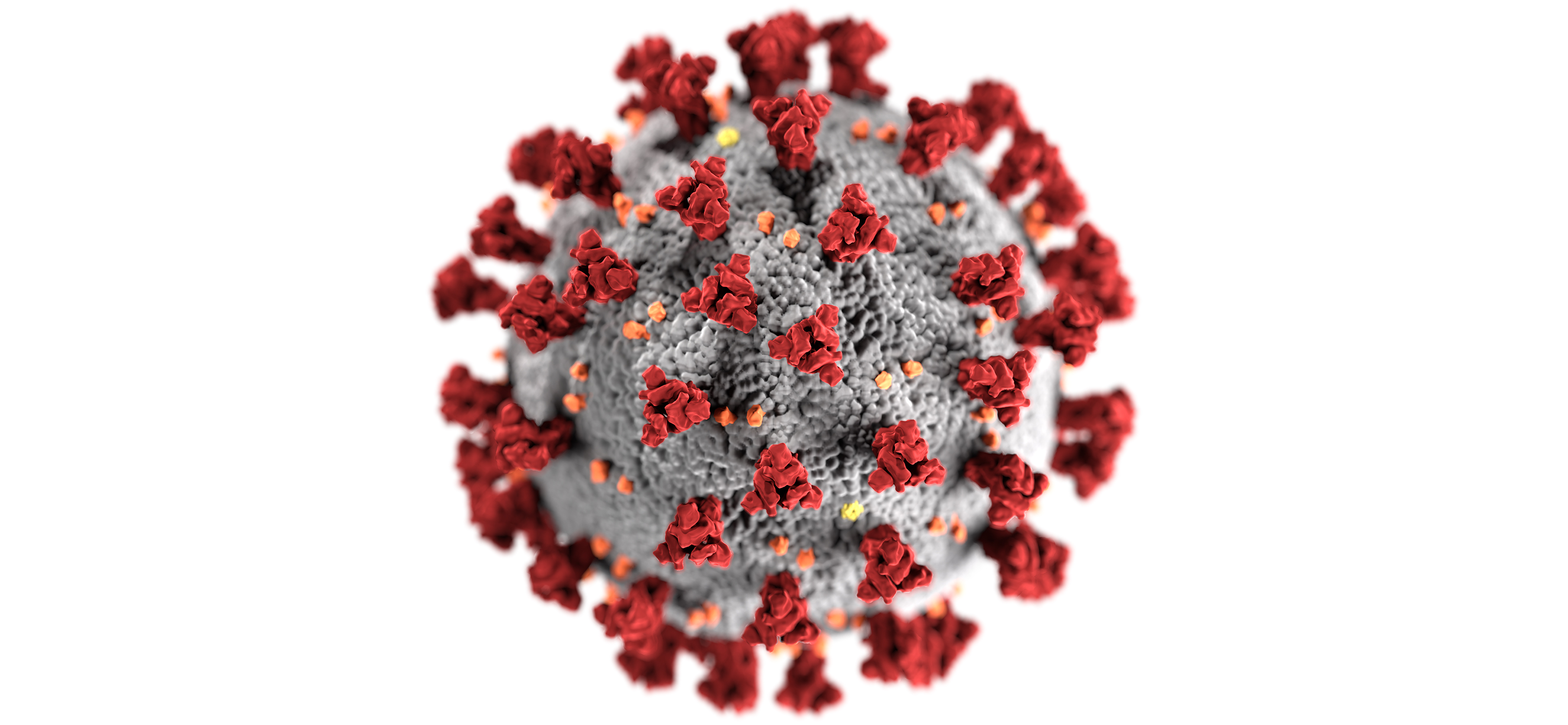 2019-nCoronaVirus-CDC-3000x1387px