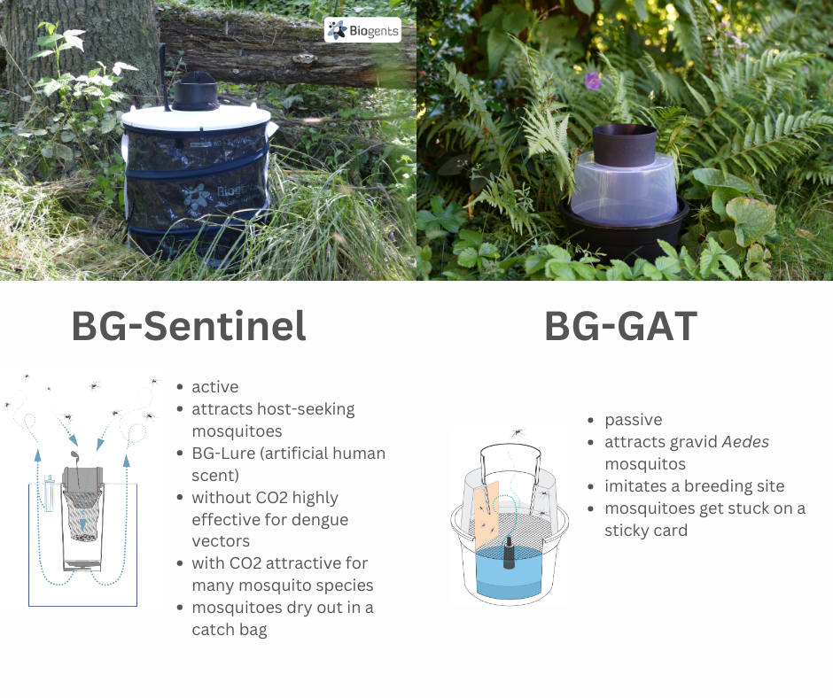 It’s time for a change in Aedes aegypti surveillance!